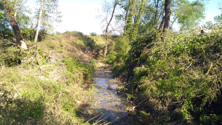 A Buonconvento Gli Ambientalisti Hanno Qualcosa Da Ridire Il