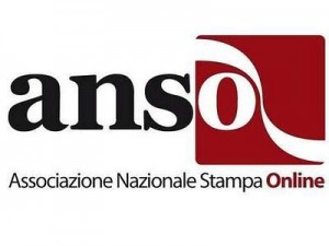 Logo Anso