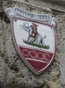 contrada del torre