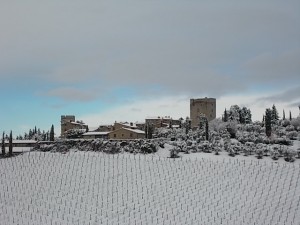 Chianti sotto la neve (foto Andrea Pagliantini)