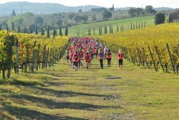 Eco-maratona del Chianti: al via le iscrizioni per il tour tra cantine e nordic walking