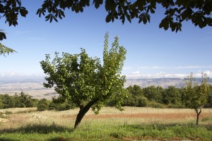 Cantina con vista