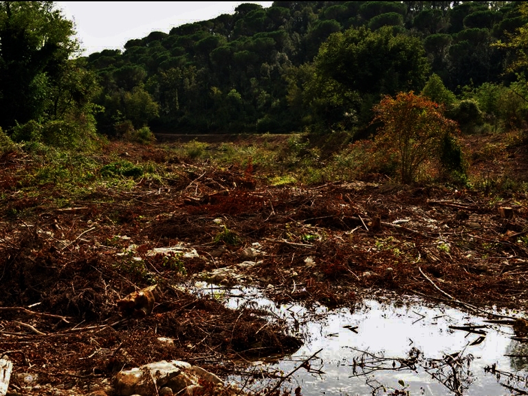 Nel Chianti Senese si fermi la distruzione del fiume Arbia