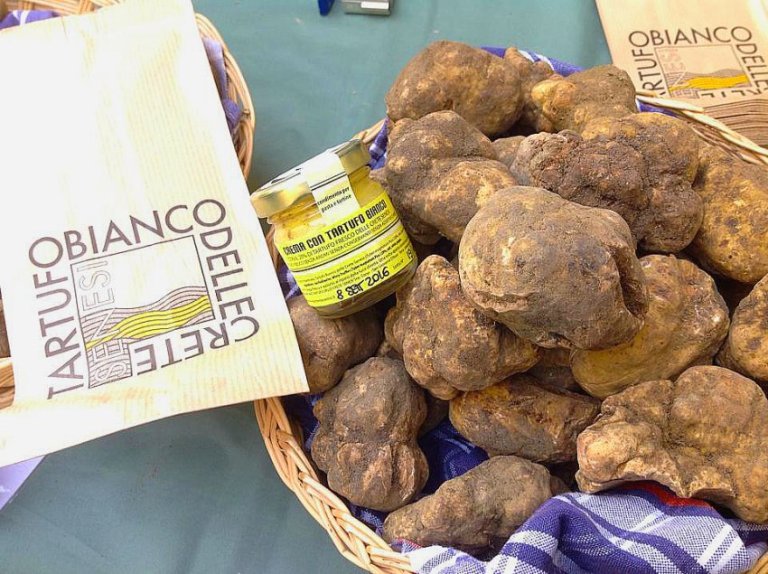 Le capitali toscane del tartufo bianco protagoniste al Fuori Expo