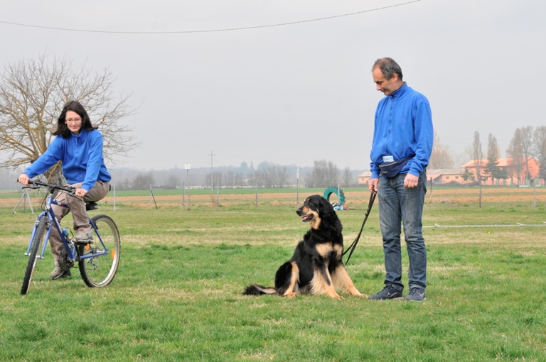 Cane buon cittadino a 4 zampe: esami il 3 aprile e il 21 maggio