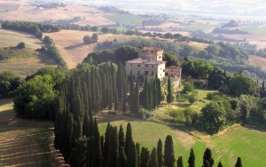 Tancredi - Buonconvento