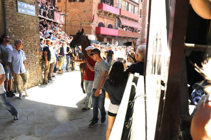 Quarta prova del Palio: vince l’Istrice