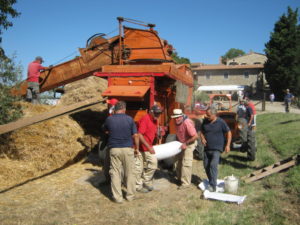 la-trebbiatrice-del-grano