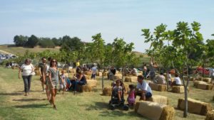 Rural Festival in Emilia (2)