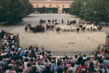 A Siena arriva la “vecchia fattoria”