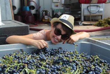 Cantine Aperte svela il “vigneto Toscana”