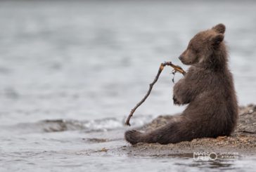 Solidarietà: venerdì all’asta le 100 foto più belle di “Beyond the Lens” 2015