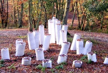 L’Immacolata al Parco Sculture del Chianti