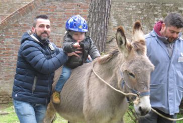 Palio dei Somari: è tempo di “Somarando”