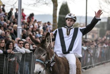 Palio dei Somari: Porta Nova e Cobra in trionfo