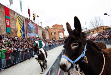 Arriva la domenica del Palio dei Somari