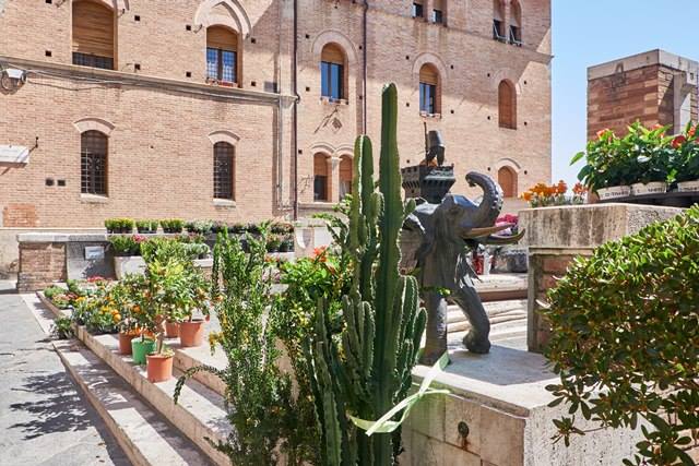 Tornano i fiori nella Contrada della Torre