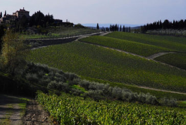 (Ri)nasce il Chianti inventato