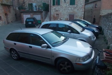 Auto, piccioni e pipì di cane nella ZTL