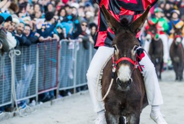 Porta Gavina vince il Palio dei somari