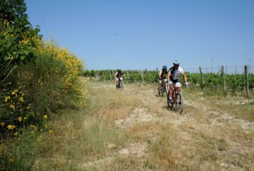 Tra Chiusi e Montepulciano, sfrecciano le mountain bike