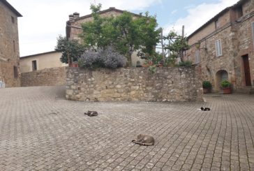 Legend Colli Senesi: raduno e degustazioni per beneficenza