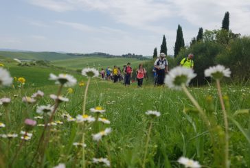 “Trekking guelfi e ghibellini sulle tracce della battaglia di Montaperti”