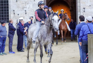 Palio: 35 cavalli ammessi alla tratta del 29 giugno