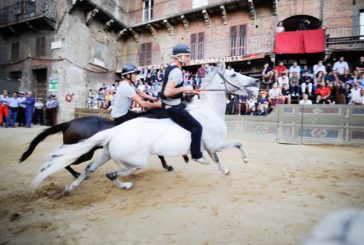 Palio: 35 cavalli ammessi alla tratta