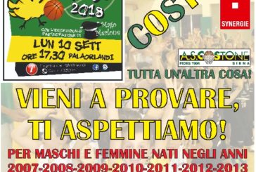 Costone: cominciano i corsi di minibasket