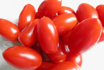 Pomodoro da salsa: calo del 40 per cento