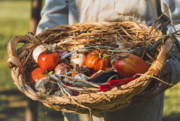 Promuovere e tutelare i prodotti toscani: focus sulla Valdichiana