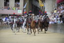 Carabinieri a cavallo al Palio: rinnovato l’accordo fino al 2027