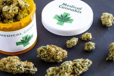 Cannabis terapeutica: incrementare la produzione per rispondere a fabbisogno