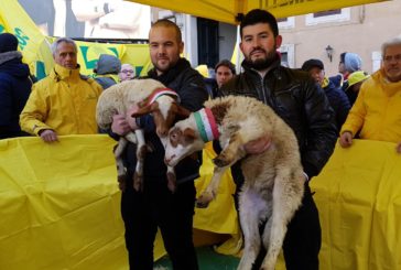 Tragedia dei pastori sardi, Coldiretti chiede rispetto