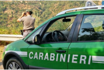 Accordo Carabinieri Forestali/Regione per rafforzare i controlli