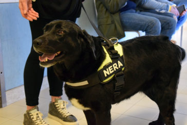 Al via il progetto di pet therapy nel Dipartimento Materno Infantile