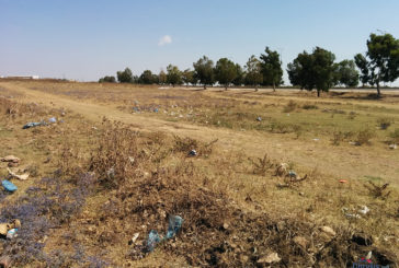 Giornata dell’ambiente: “-38% di terreno fertile. Territorio più fragile”