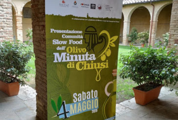 Comunità Slow Food per la valorizzazione dell’olivo minuta di Chiusi