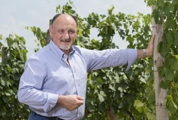 Nasce il Consorzio Vino Toscana per tutelare  il vino a IGT Toscana