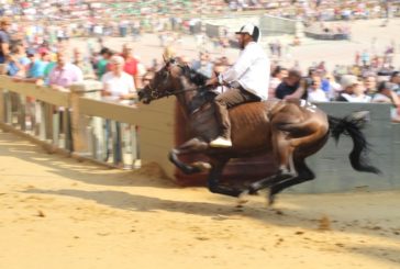 Palio: le batterie delle prove regolamentate