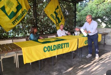 Coldiretti: “Il “Granaio Siena” rischia di esplodere”