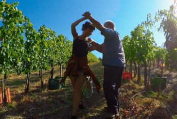 Cantine Aperte in Vendemmia: a Siena protagonisti i piccoli vendemmiatori