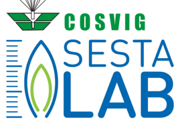 Cosvig assume 2 project engineer per SestaLab