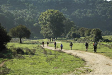 Associazione Europea delle Vie Francigene: bando per il rappresentante del Comune