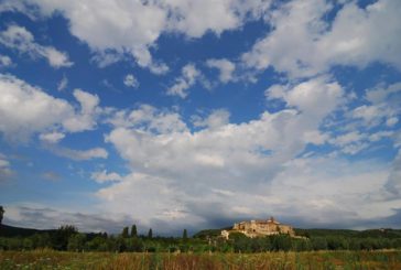 Rapolano Terme: domenica torna la Camminata tra gli Olivi