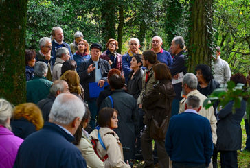 La nuova illuminazione a Bosco Isabella a Radicofani