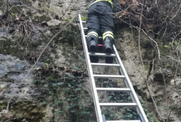 Cane in pericolo a Sarteano: intervengono i ppmpieri