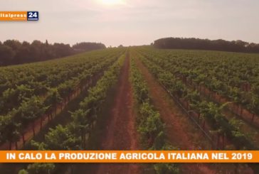 In calo la produzione agricola italiana