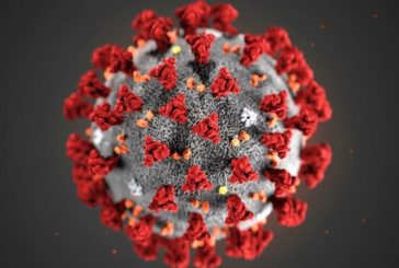 “Non si specula politicamente sul coronavirus”